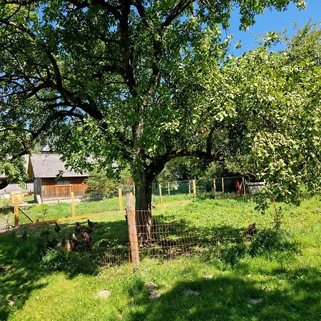 Esserhof  Nationalpark Gesäuse